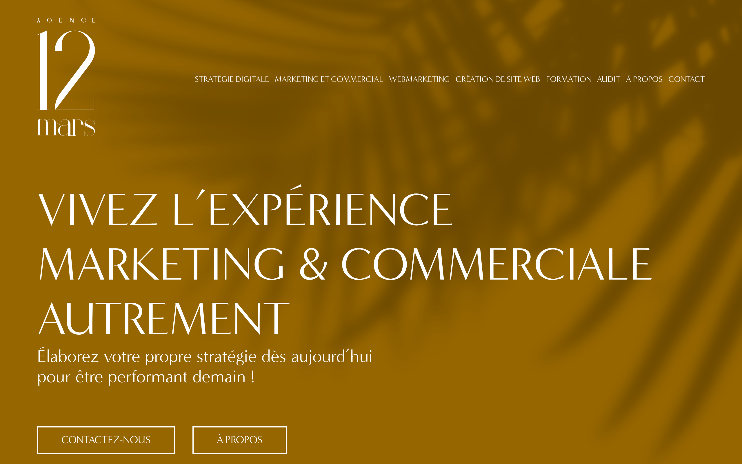 Aperçu du site Agence 12 Mars