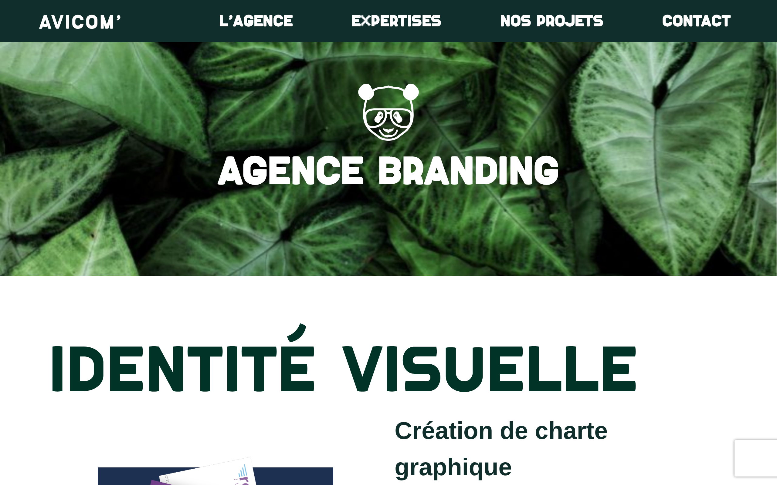 Aperçu du site AVICOM'