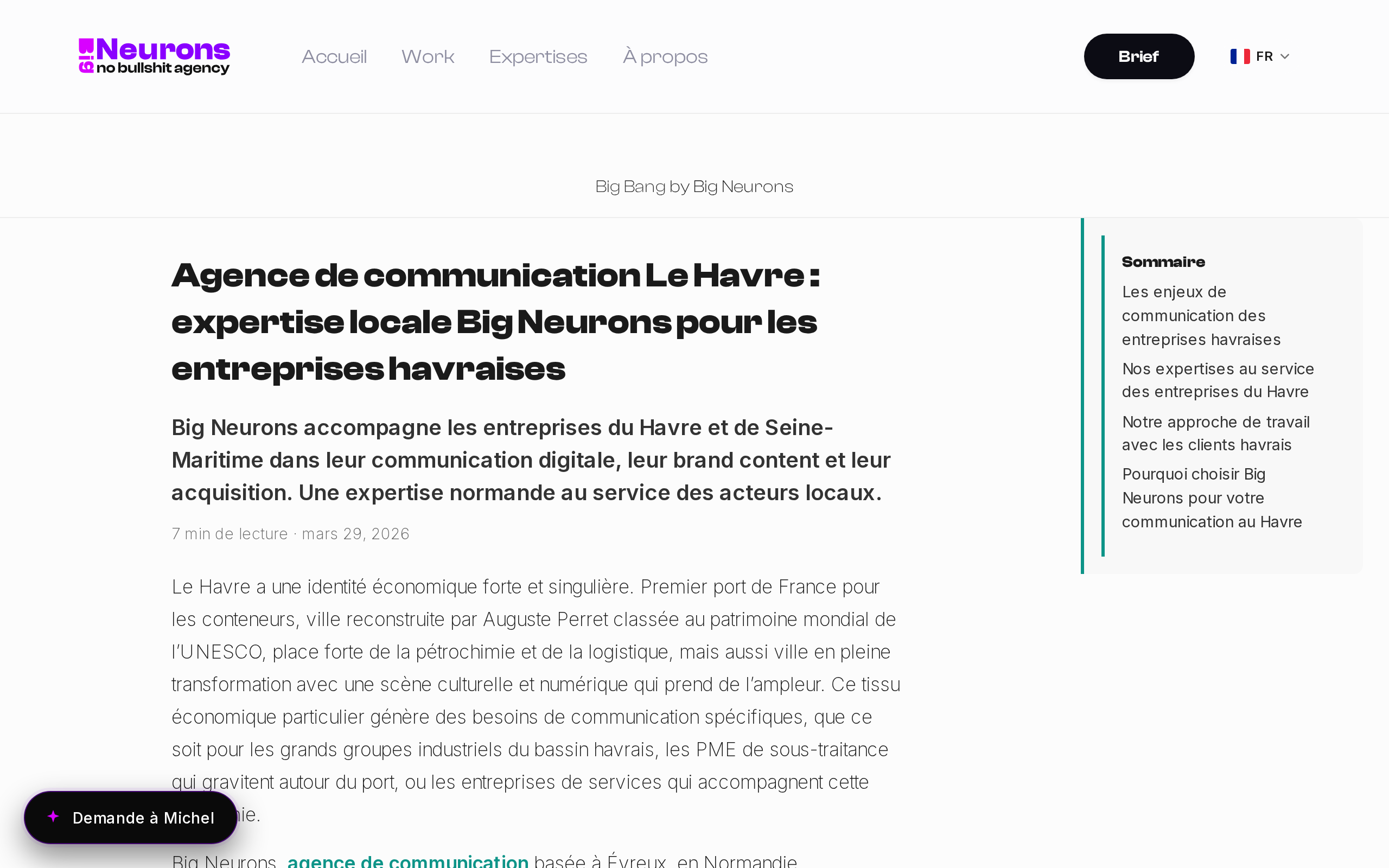 Aperçu du site Big Neurons