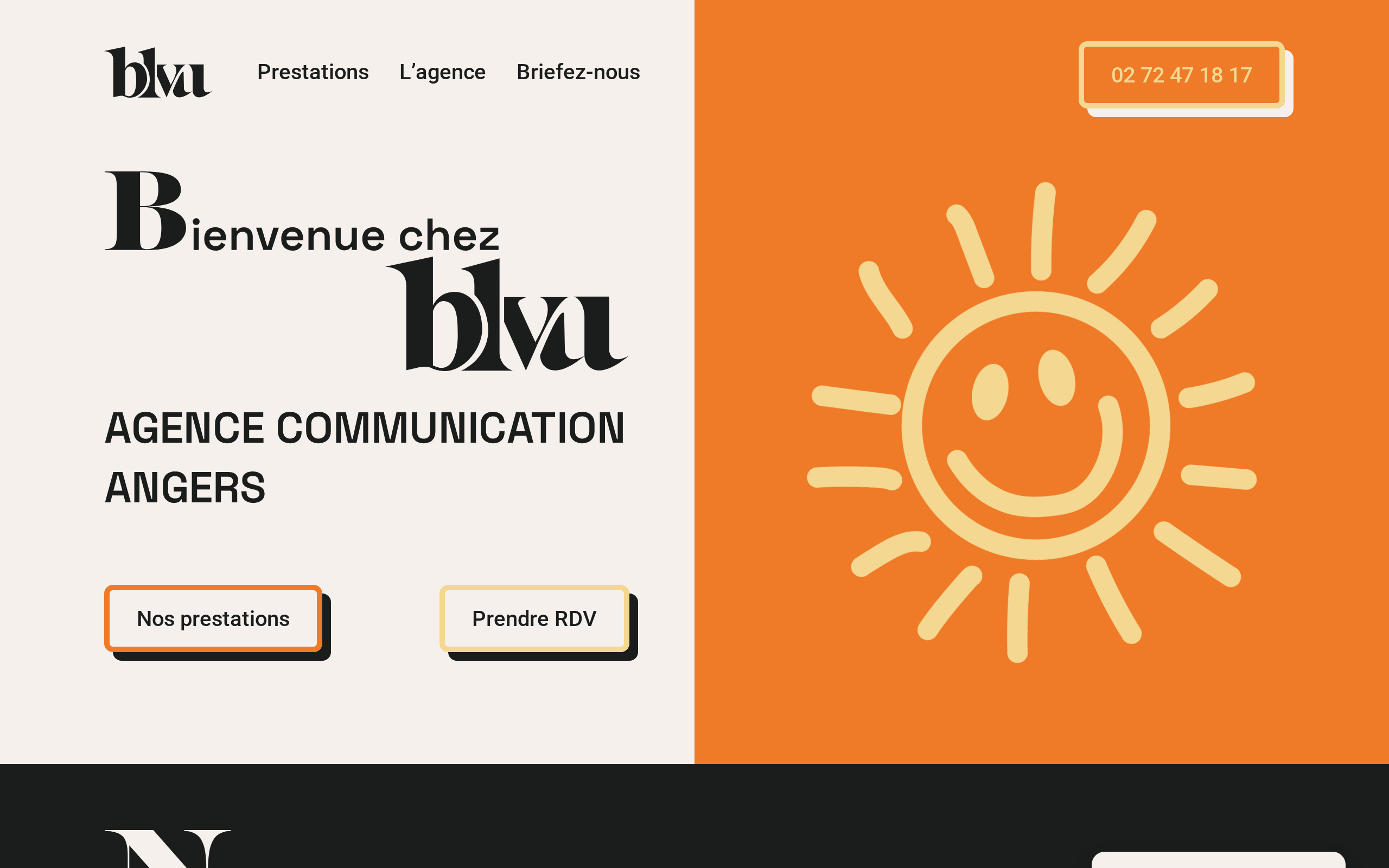 Aperçu du site Blvu