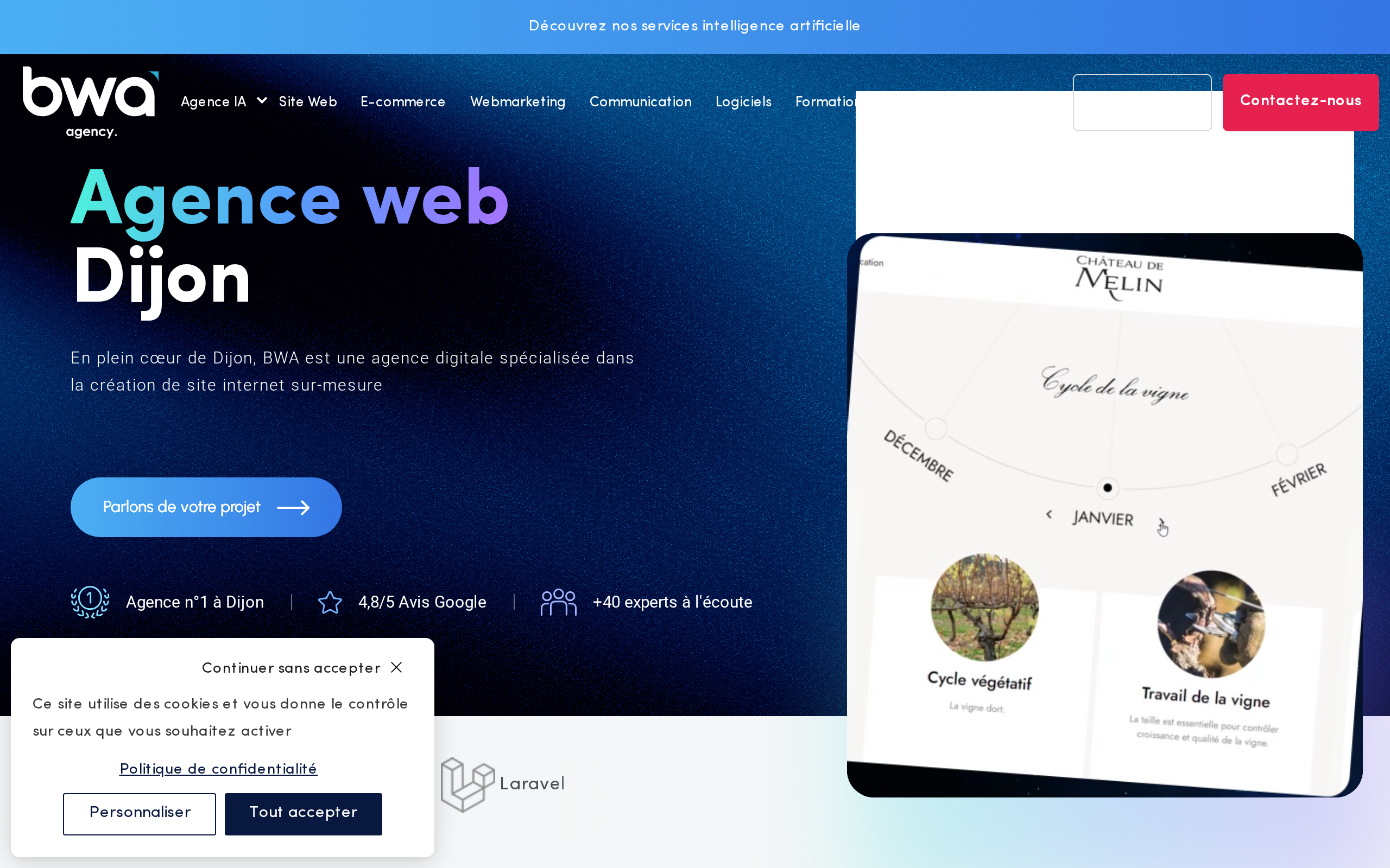 Aperçu du site Business Web Agence