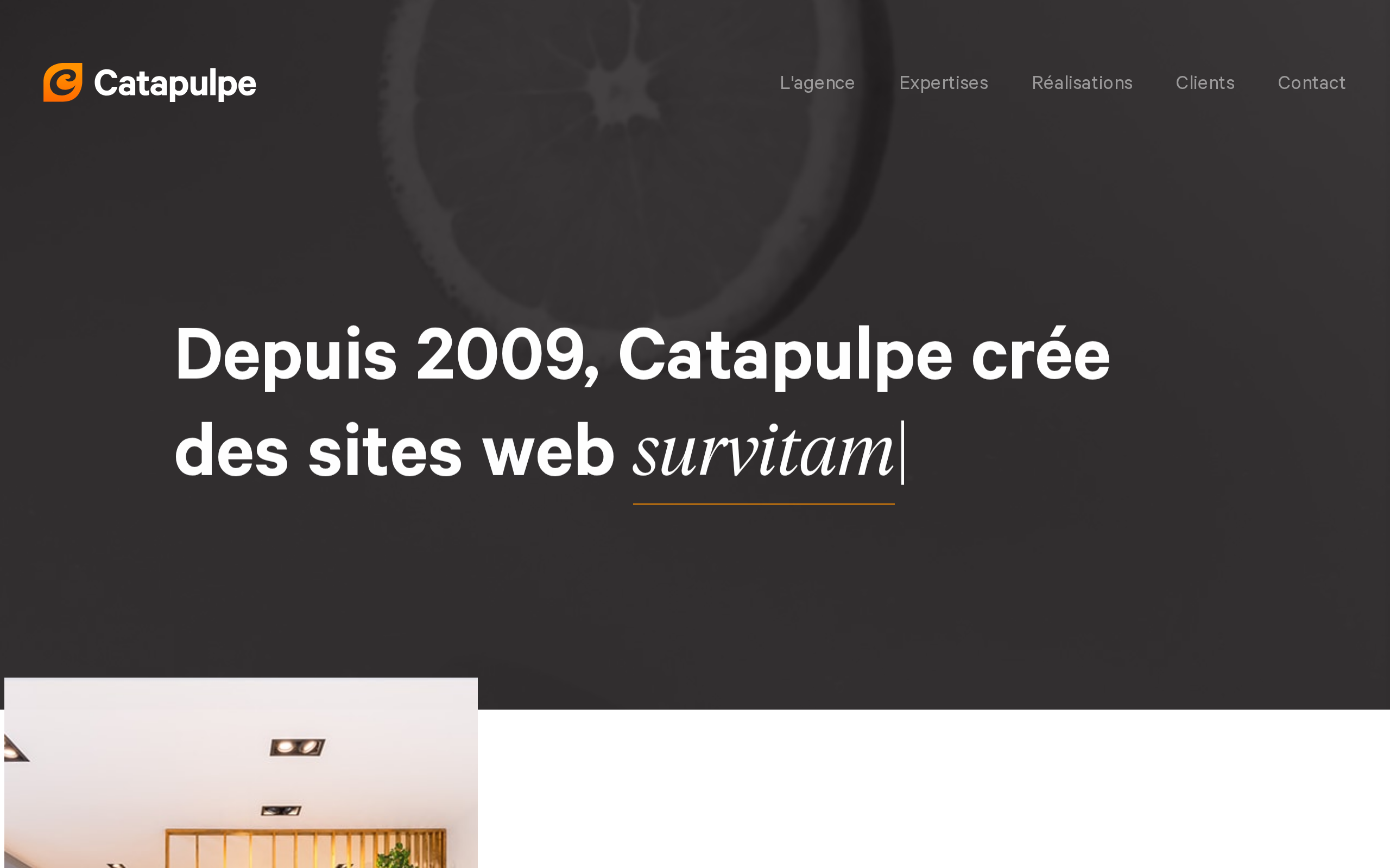 Aperçu du site Catapulpe