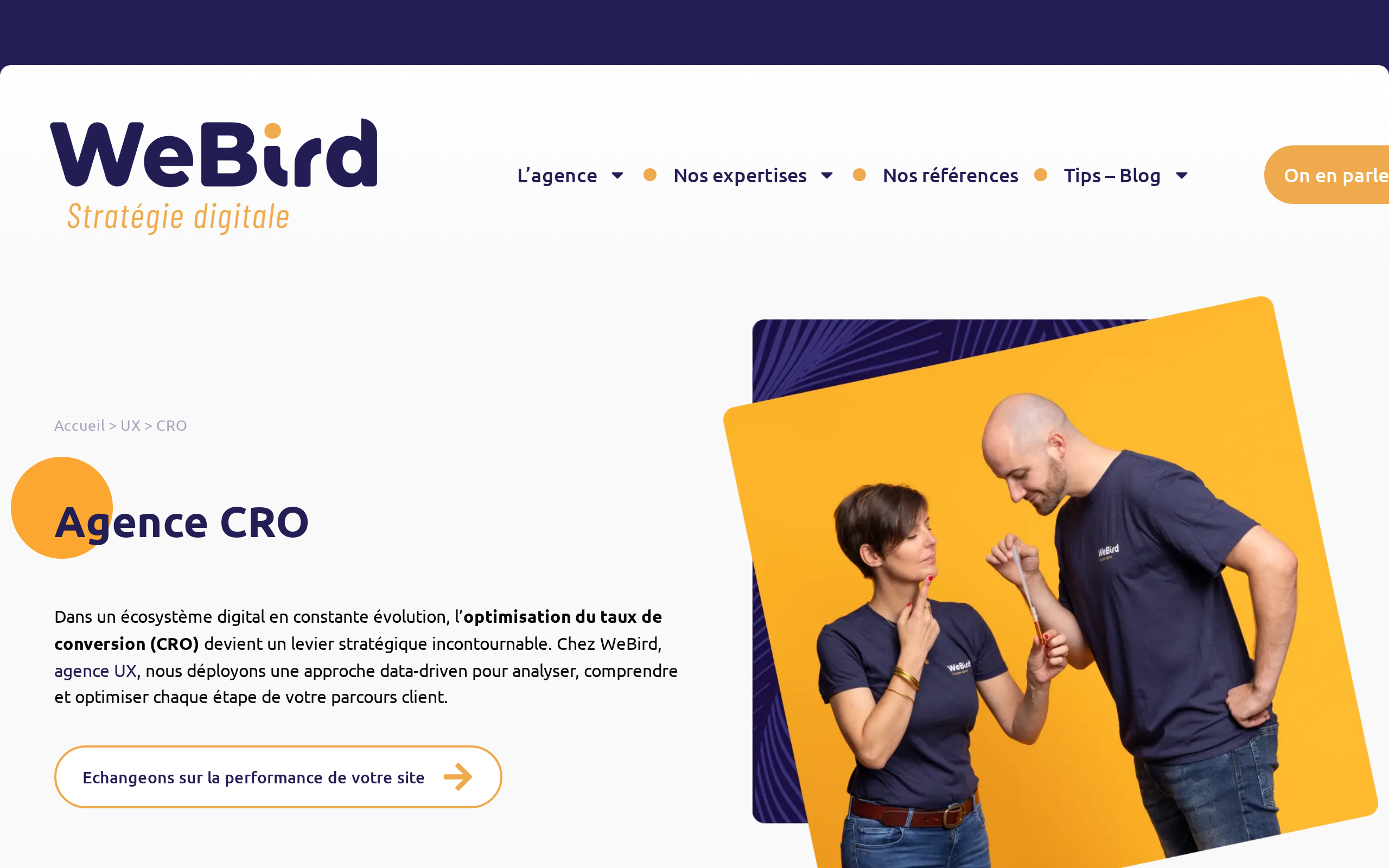 Aperçu du site WeBird