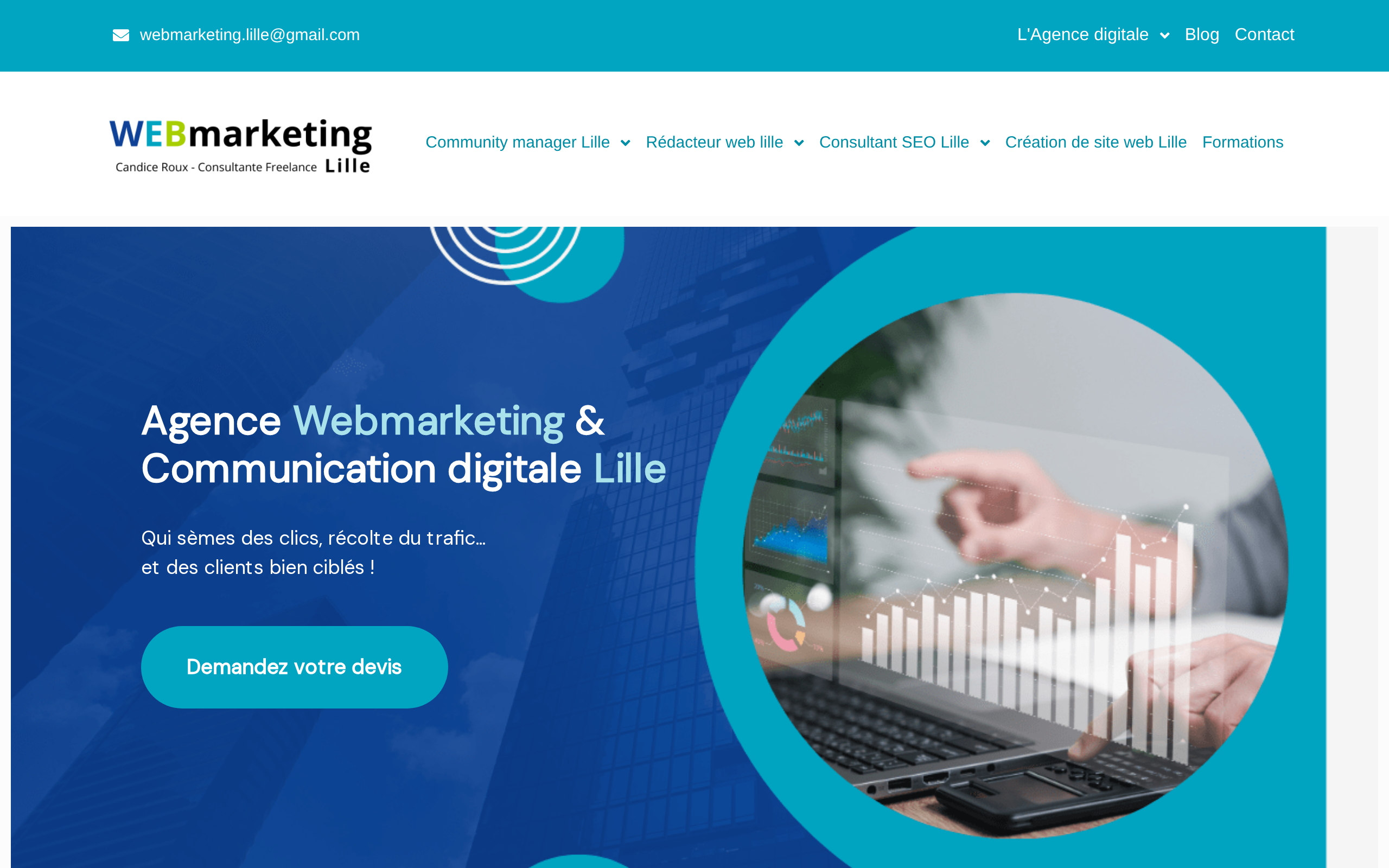 Aperçu du site Webmarketing Lille
