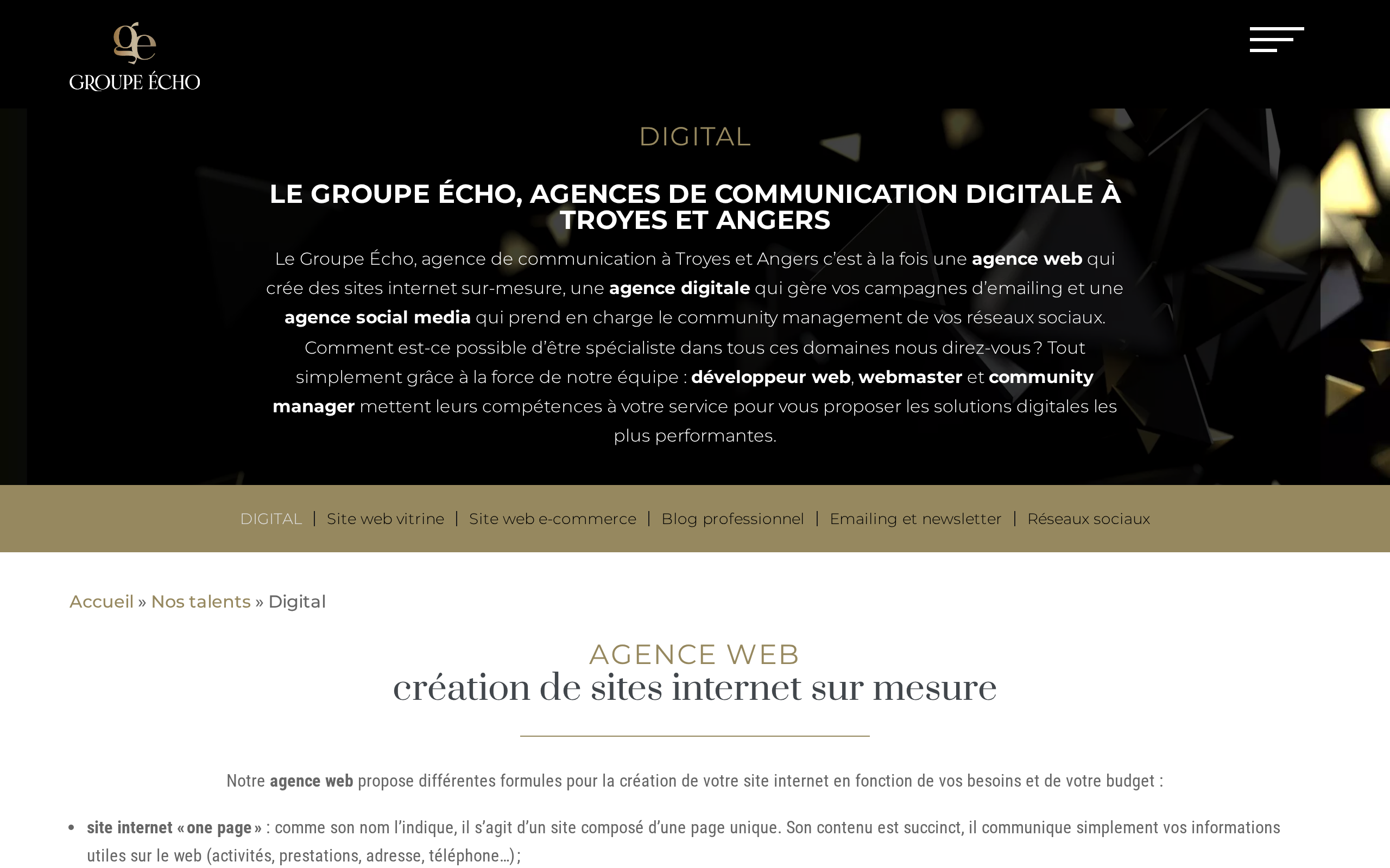 Aperçu du site Groupe Écho