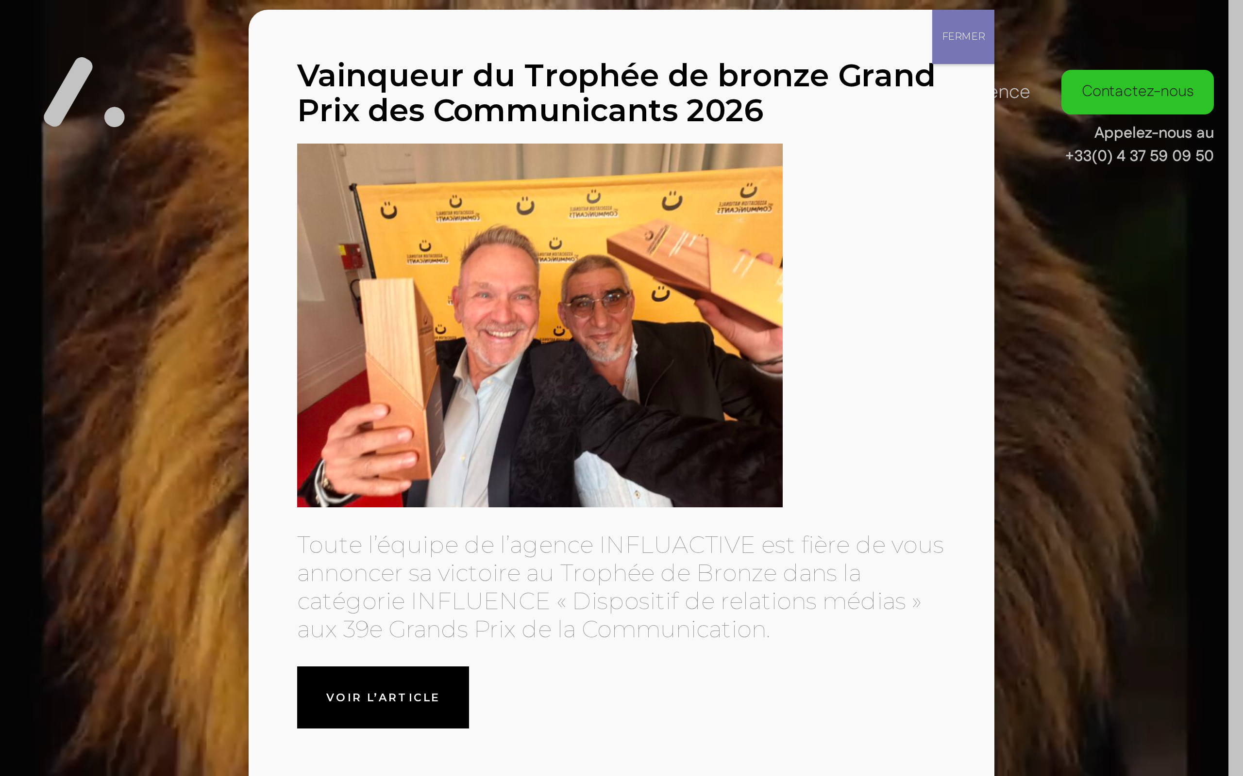 Aperçu du site Influactive