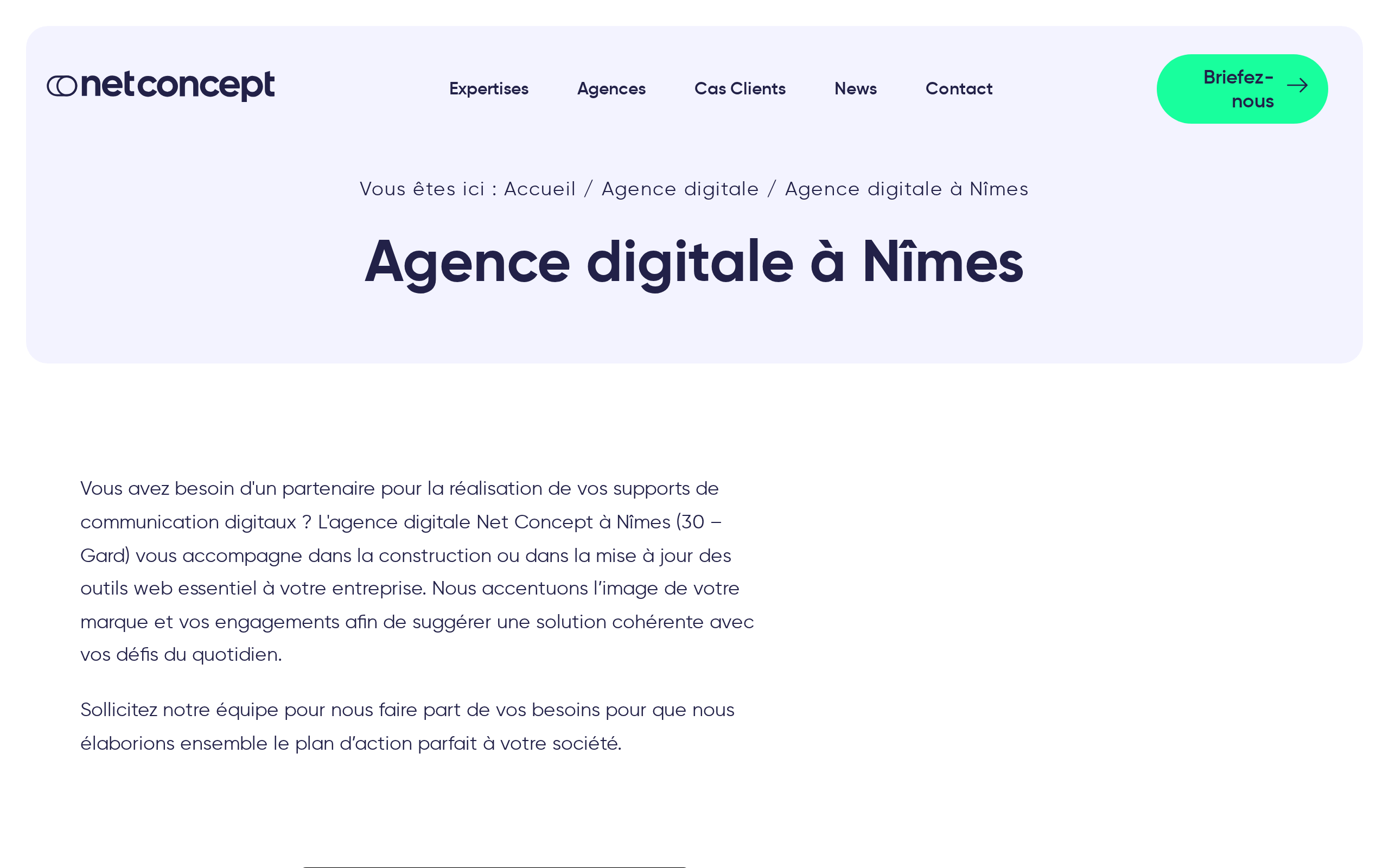 Aperçu du site Net Concept