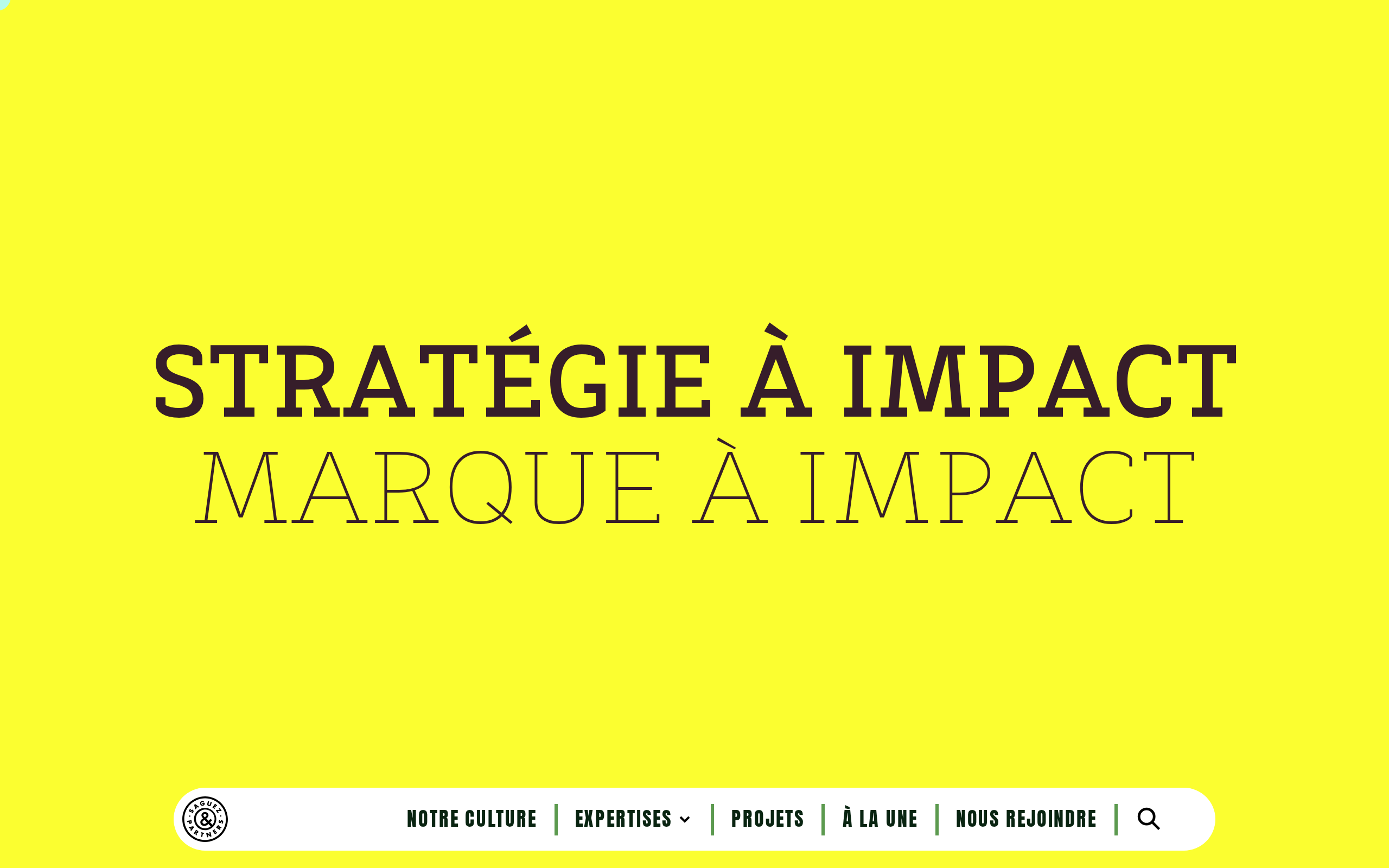 Aperçu du site Saguez & Partners