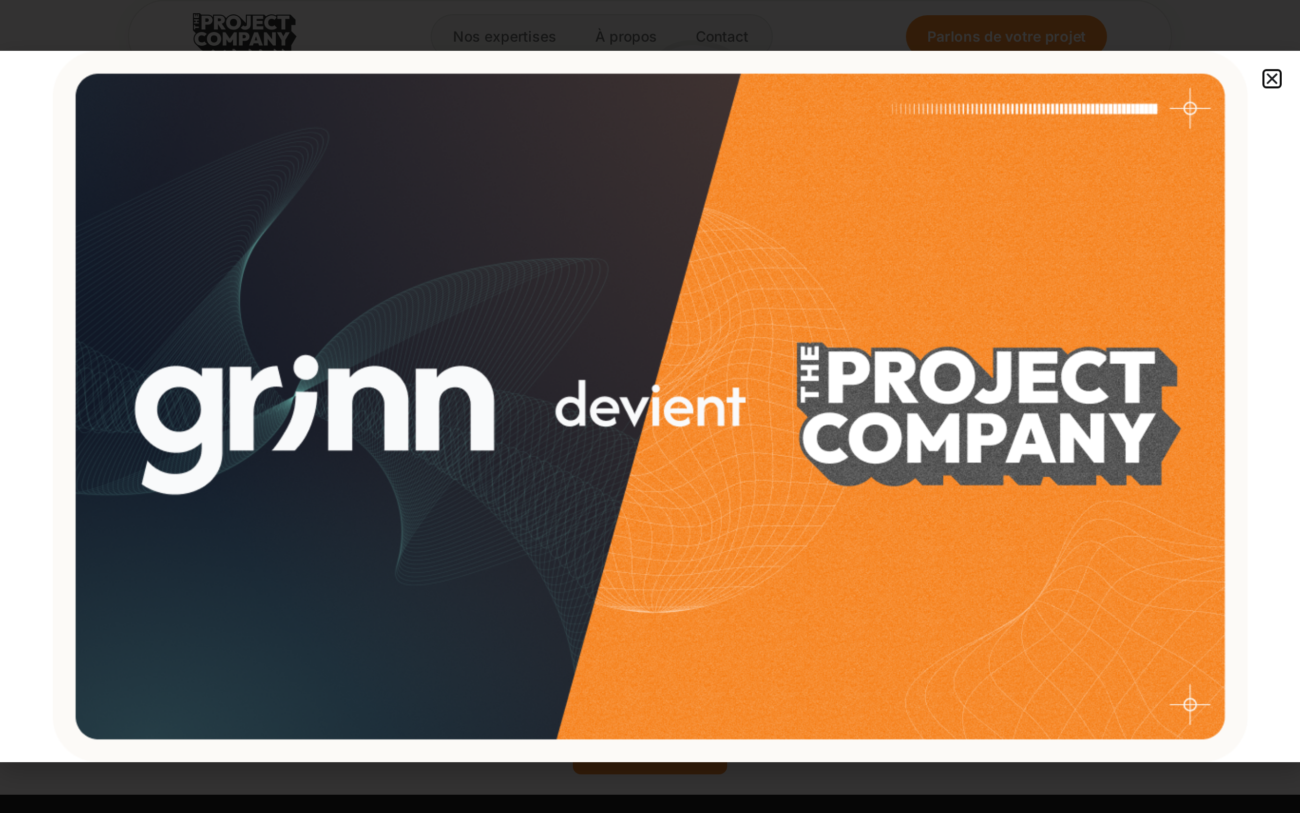 Aperçu du site The Project Company