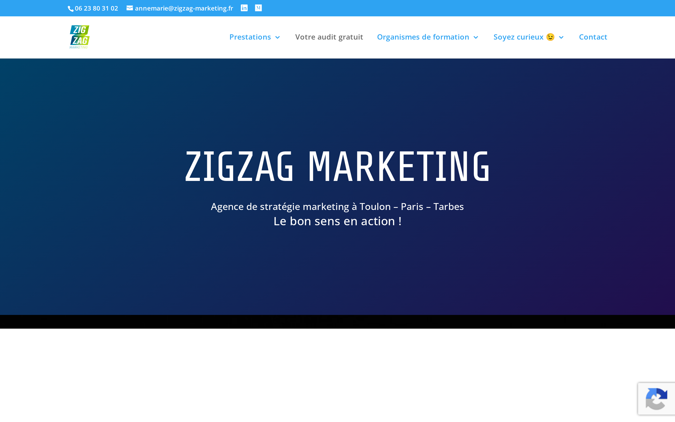 Aperçu du site Zigzag Marketing